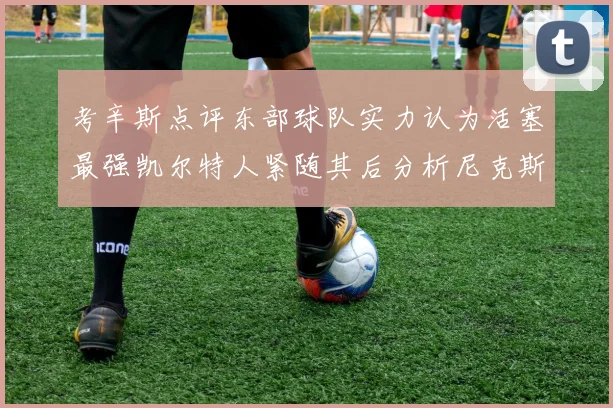 考辛斯点评东部球队实力认为活塞最强凯尔特人紧随其后分析尼克斯不足之处